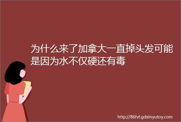 为什么来了加拿大一直掉头发可能是因为水不仅硬还有毒